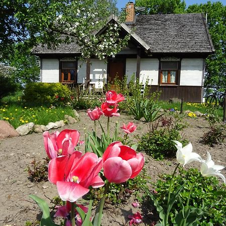 Jastrzebie Katy Gospodarstwo Rolne Villa Wisniew Exterior photo