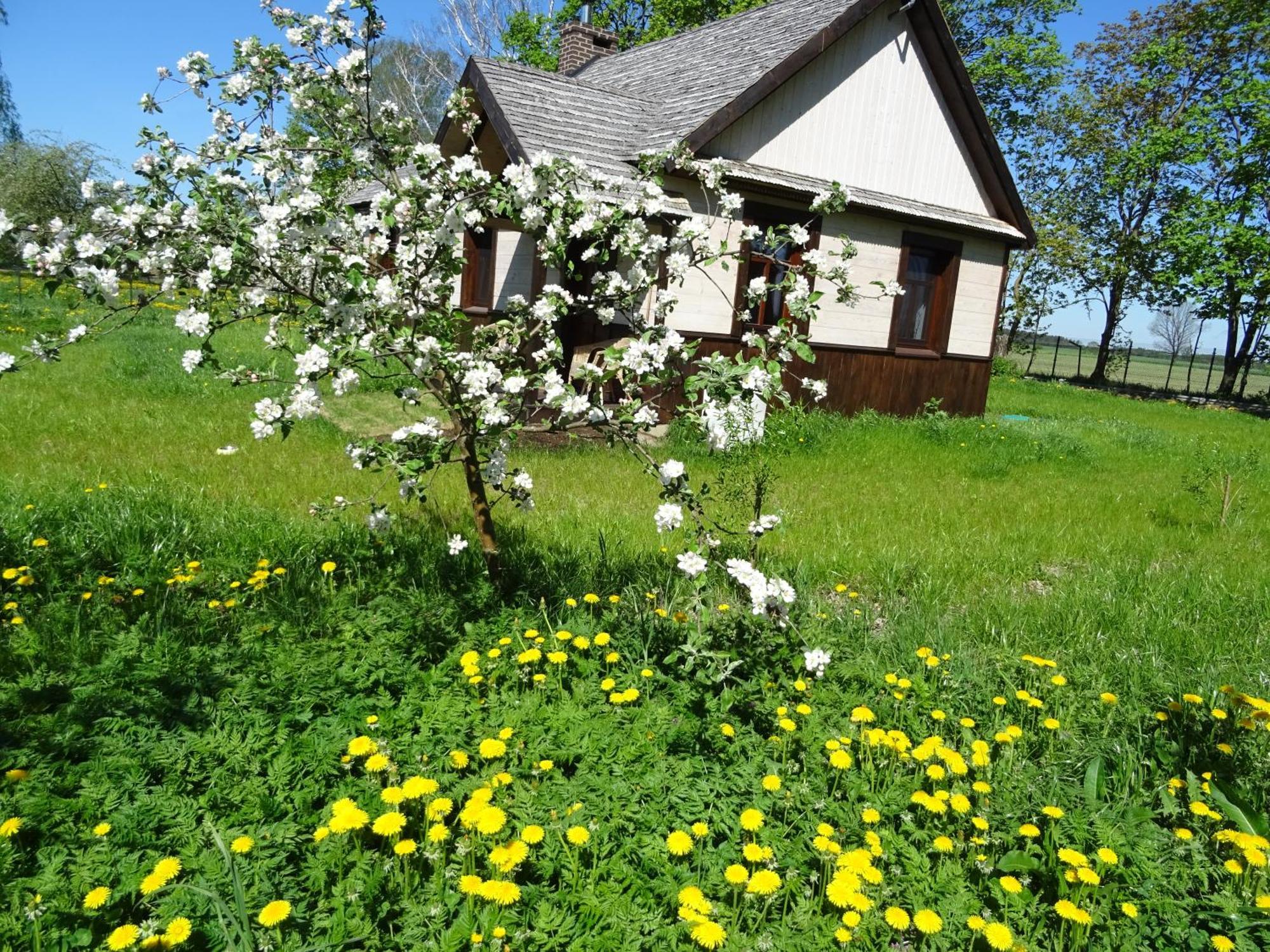 Jastrzebie Katy Gospodarstwo Rolne Villa Wisniew Exterior photo